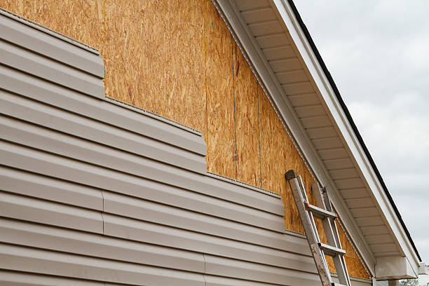 Professional Siding Inspection technician working in Bohemia, NY